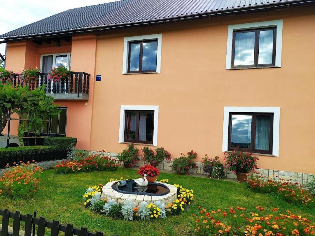Apartman Niki Lic Bagian luar foto