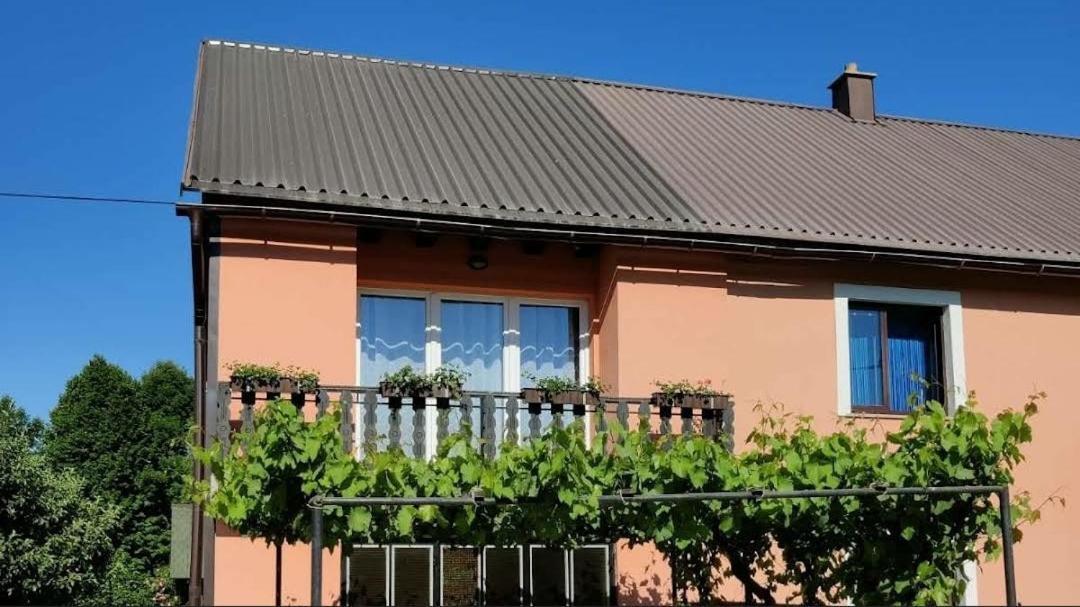 Apartman Niki Lic Bagian luar foto